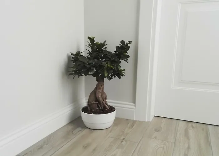 Vicolo Fiore Guest house 4*